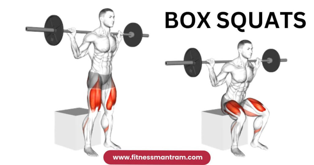 Box Squats- How To Do Box Squats Like A Professional - Fitness Mantram