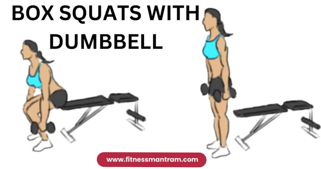 Box Squats with Dumbbell