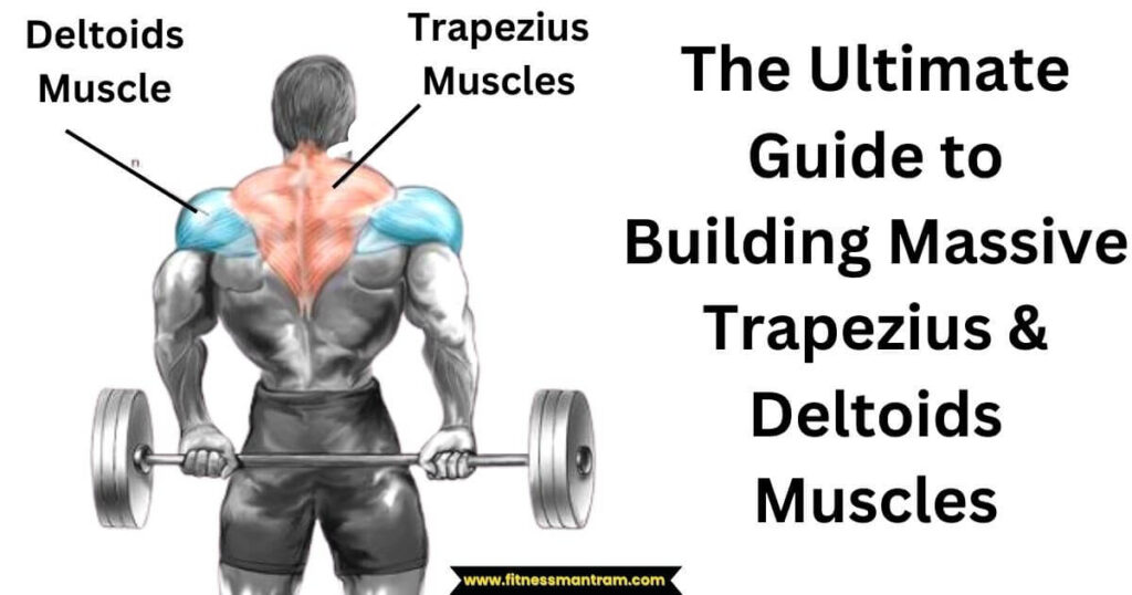 The Ultimate Guide to Building Massive Trapezius & Deltoids Muscles