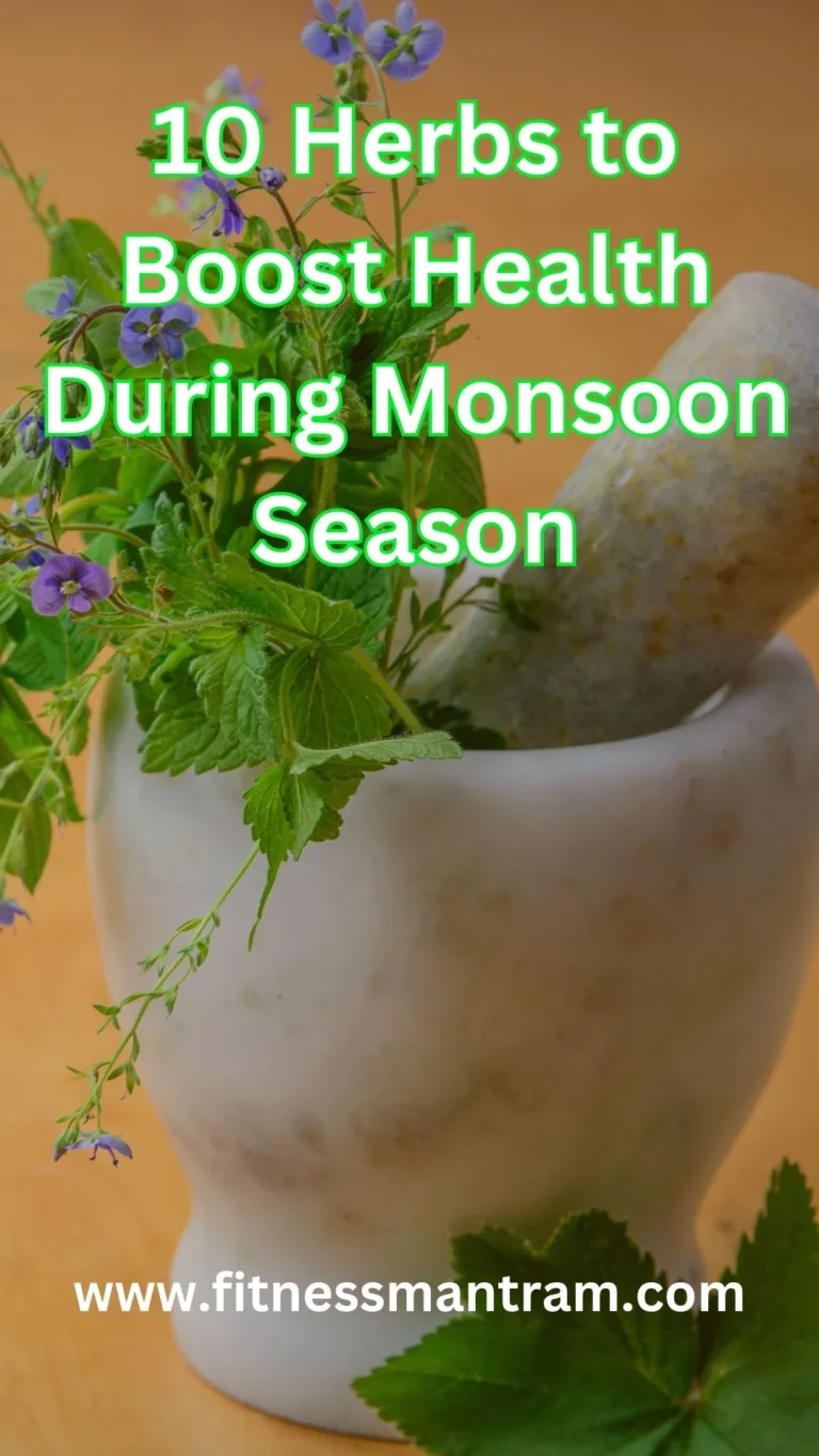 10 Herbs To Boost Health During Monsoon Season