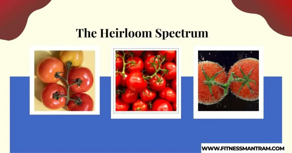 The-Heirloom-Spectrum